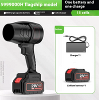 Wallydeals - Dual-Use Lithium Blower
